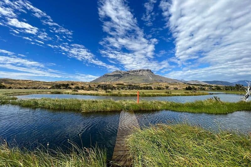 Expérience privée d'observation des oiseaux à Cerro Castillo