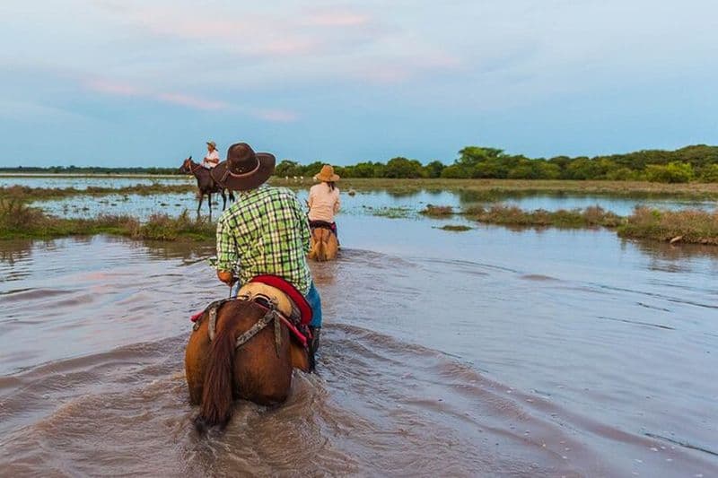 Safari privé de 4 jours à Llanero dans l'enchantement