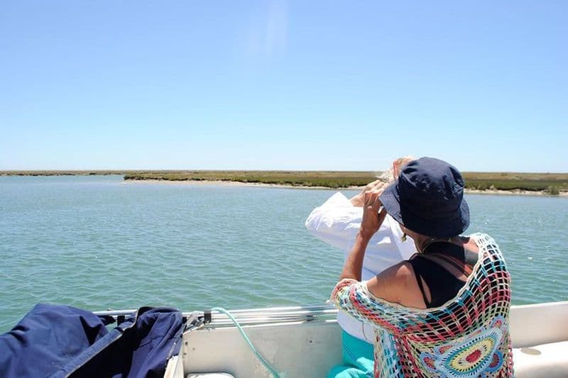 Excursion guidée en bateau d'observation des oiseaux de 2 heures à Ria Formosa au départ de Faro Algarve