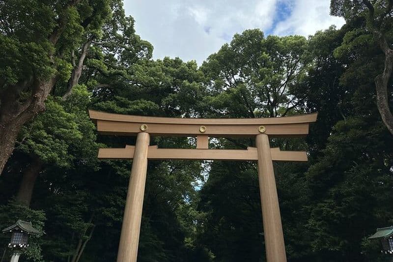 Visite privée de 3 heures du bien-être du sanctuaire Meiji Jingu à Tokyo