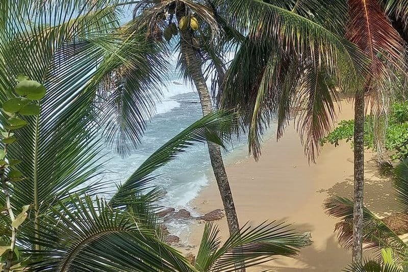 Transfert privé Aéroport SJO à Puerto Viejo/Cahuita/Manzanillo