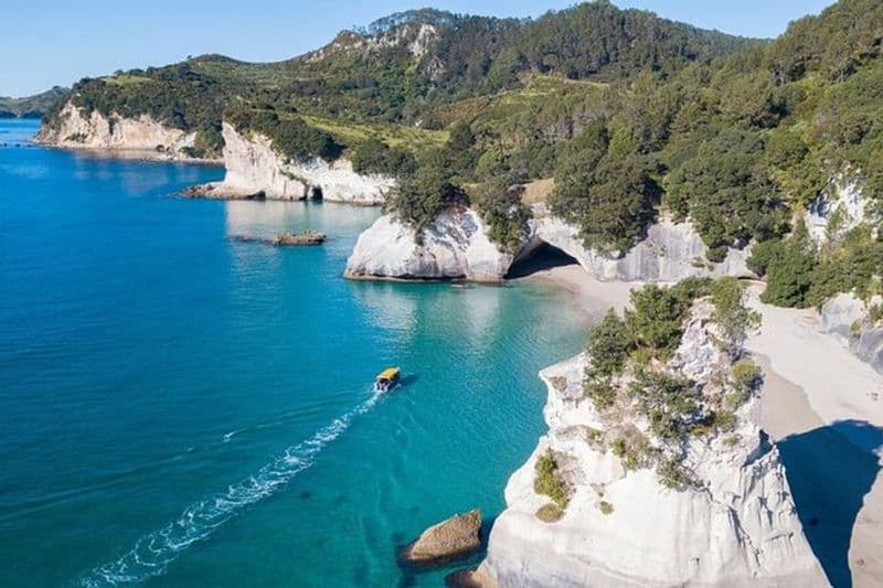 Visite privée d'une journée de Cathedral Cove, tyrolienne et bateau à fond de verre