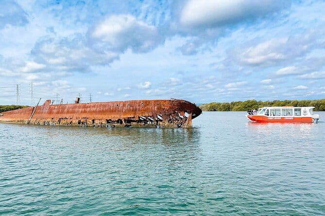 Croisière de 90 minutes sur les dauphins et le cimetière des navires de Port River