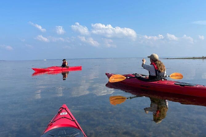 Location de kayak et SUP au port de Rørvig
