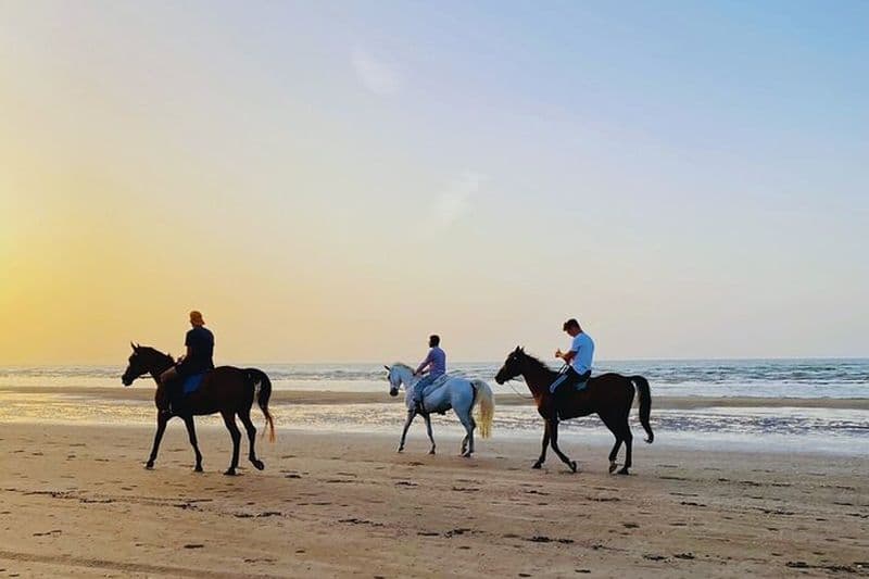 Balade à cheval sur la plage