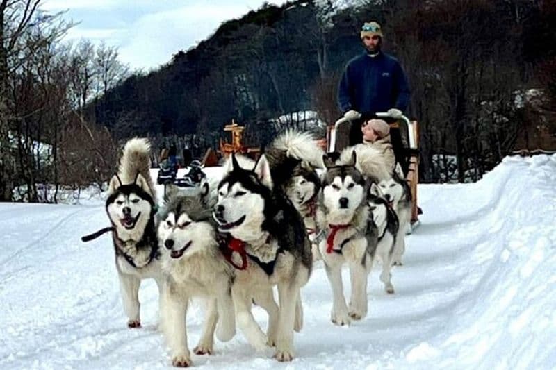 Aventure blanche avec promenade en traîneau et motoneige