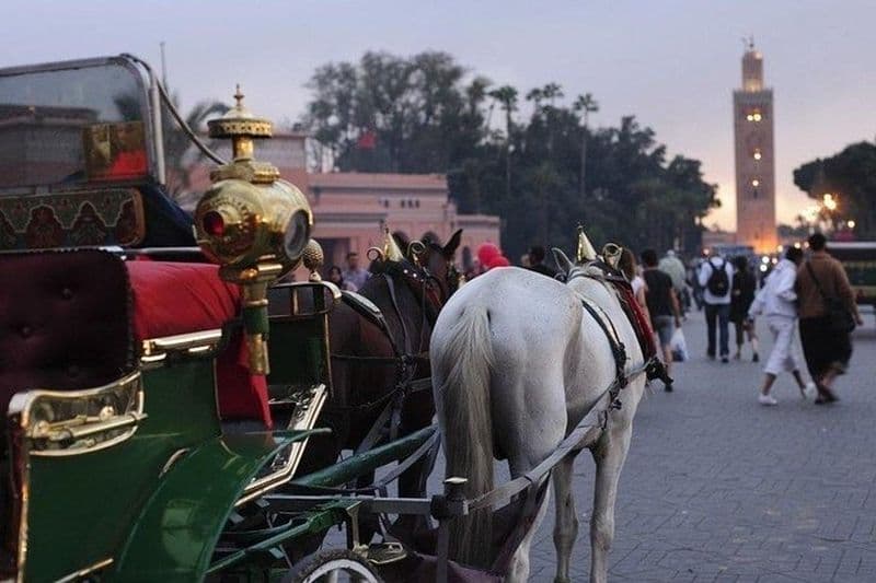 Marrakech Caleche par nuit avec temps libre à Jemaa El-Fna