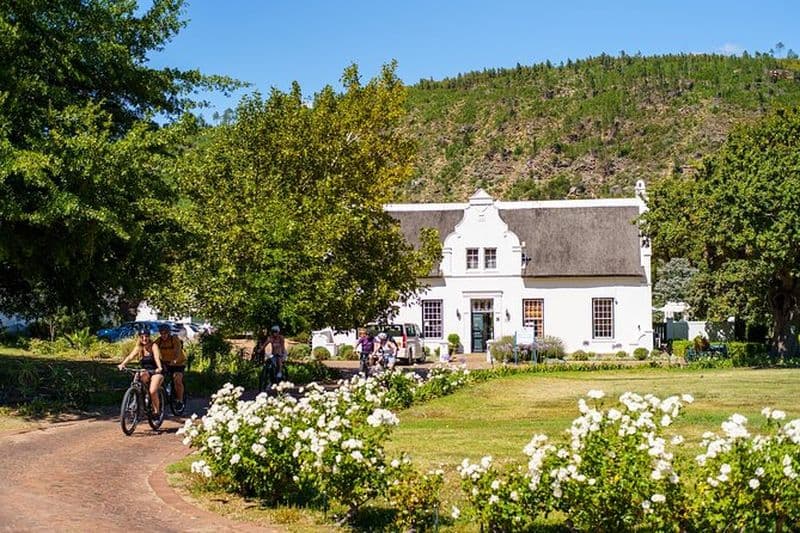 Excursion d'une demi-journée à VTT à Winelands