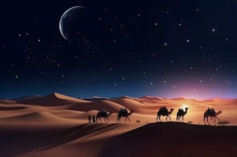 Billet Safari nocturne dans le désert de Doha, observation des étoiles, photographie، détente