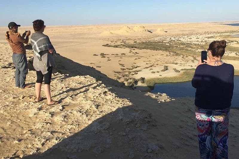Excursion d'une journée au Fayoum Observation des oiseaux