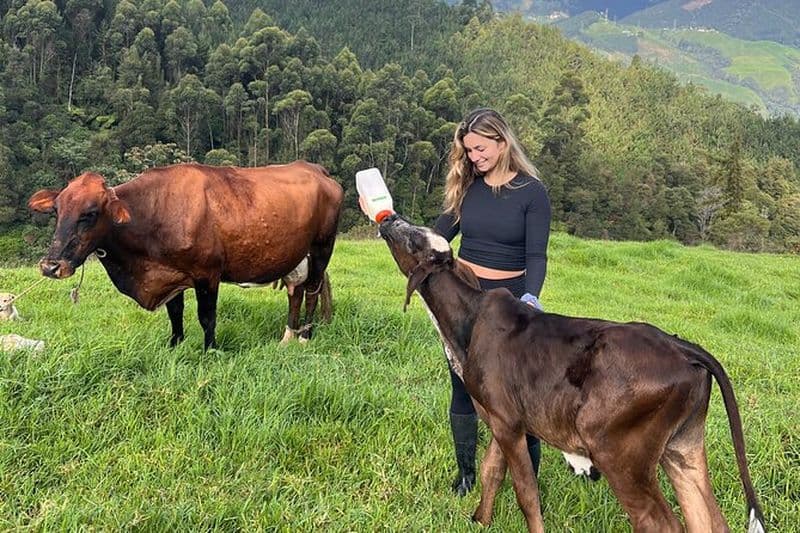 Finca centenaire familiale: Équitation & plus encore