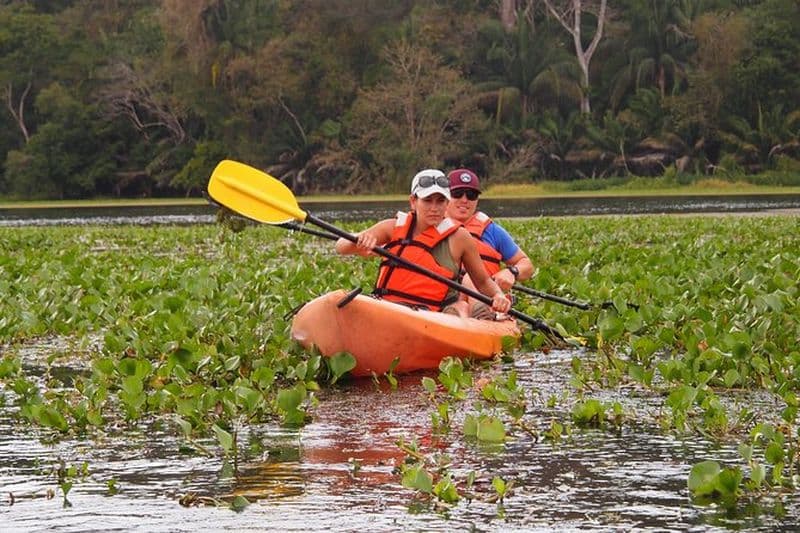 Excursion en kayak dans la rivière Chagres
