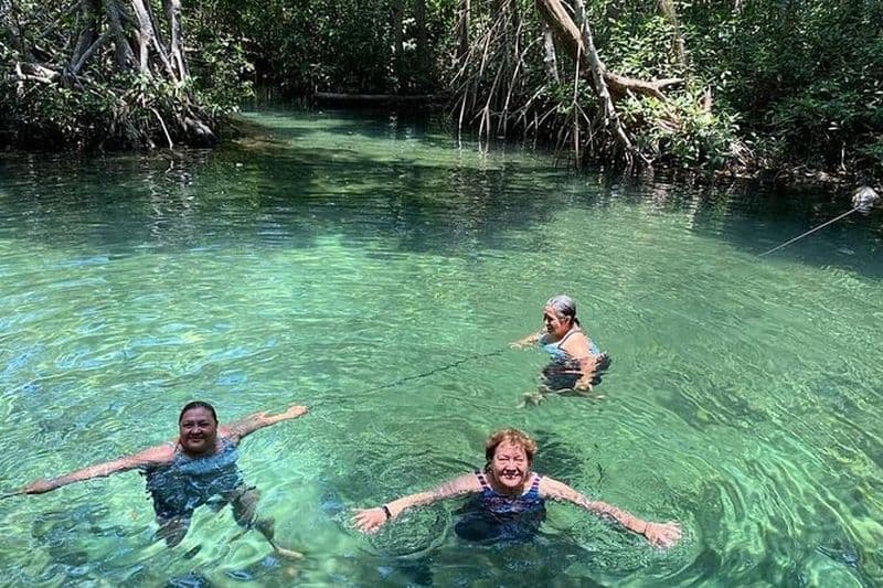 Billet Excursion à Celestun, baignade, randonnée et promenade en bateau