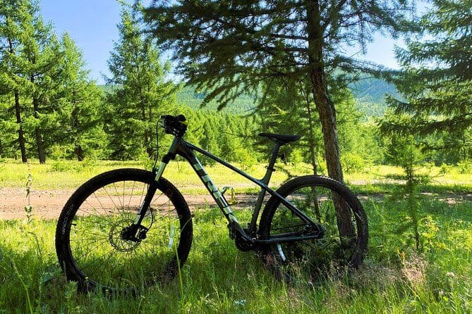 Billet Location de VTT (VTT)