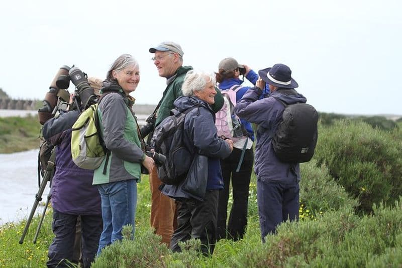 Billet Demi-journée d'observation d'oiseaux dans les marais d'Abicada