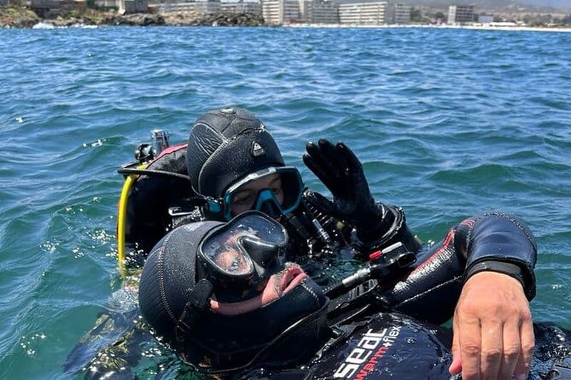 Plongée à Pichidangui et Los Molles