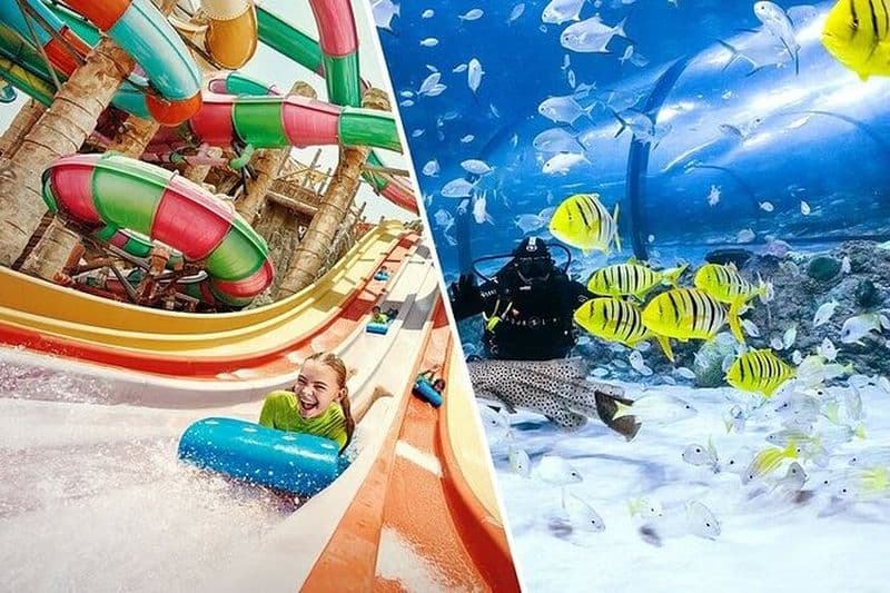 Yas Waterworld et The National Aquarium Billets