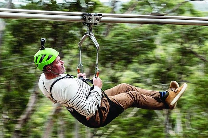 Surf Coast et Livewire Tour