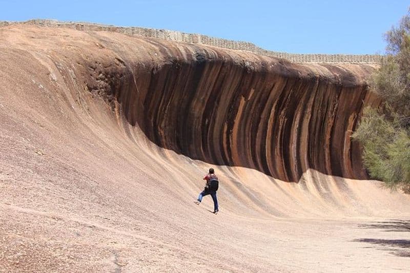 Wave Rock Ground Tour d'une demi-journée