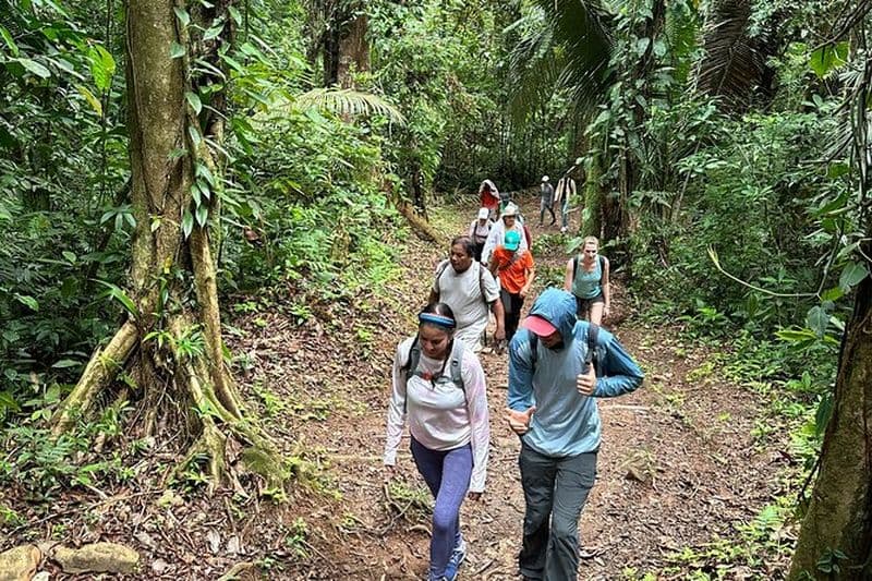 Randonnée dans la réserve Cockscomb Jaguar
