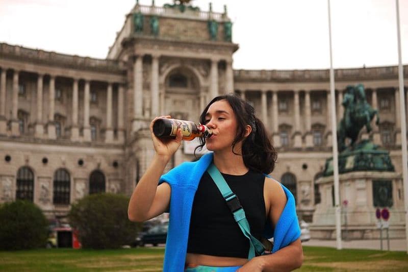 Pub Crawl du vendredi soir pour les professionnels à Vienne, Autriche