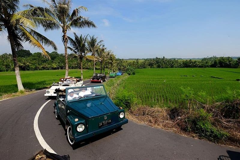 Ubud VW Safari Bali Tour - Voyage en voiture classique Volkswagen
