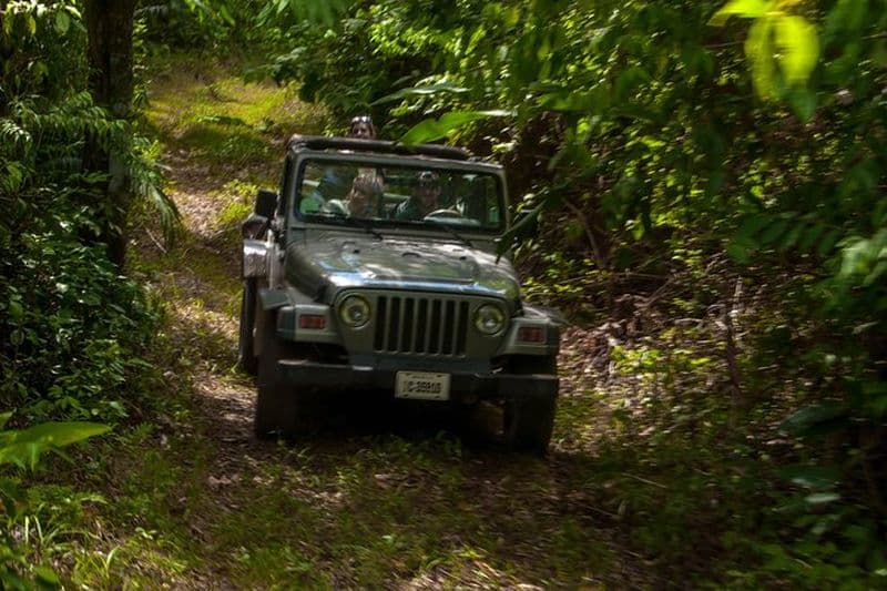 Billet Jungle Jeep Adventure de Belize City