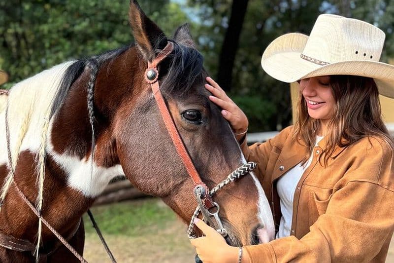 Billet Visite de Tequila avec balade à cheval