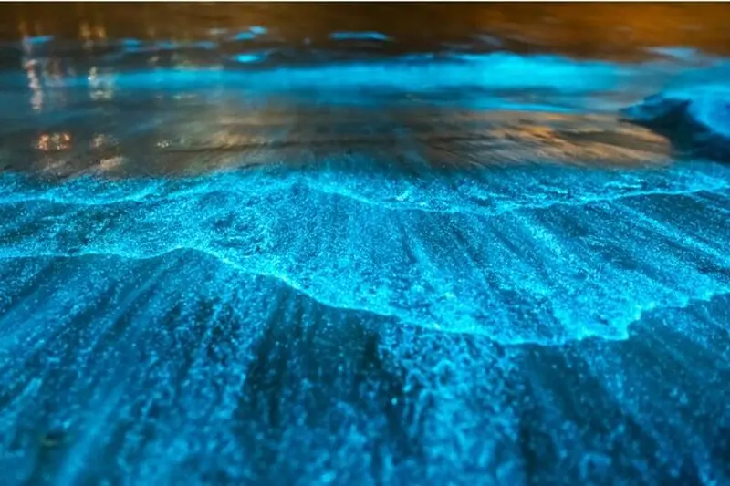 Bioluminescence en kayak ou SUP à Los Arcos Puerto Vallarta