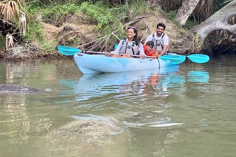 Excursion en kayak ou en paddleboard aux lamantins, aux dauphins et aux mangroves du refuge faunique!