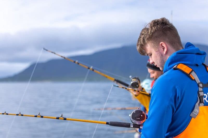Sortie de pêche en mer au départ de Reykjavik