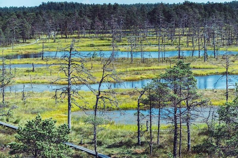 Randonnée autoguidée dans les pays baltes en 14 jours