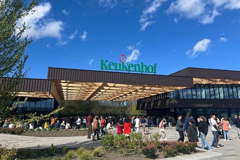 Taxi privé vers les champs de tulipes et les fleurs de Keukenhof depuis Amsterdam