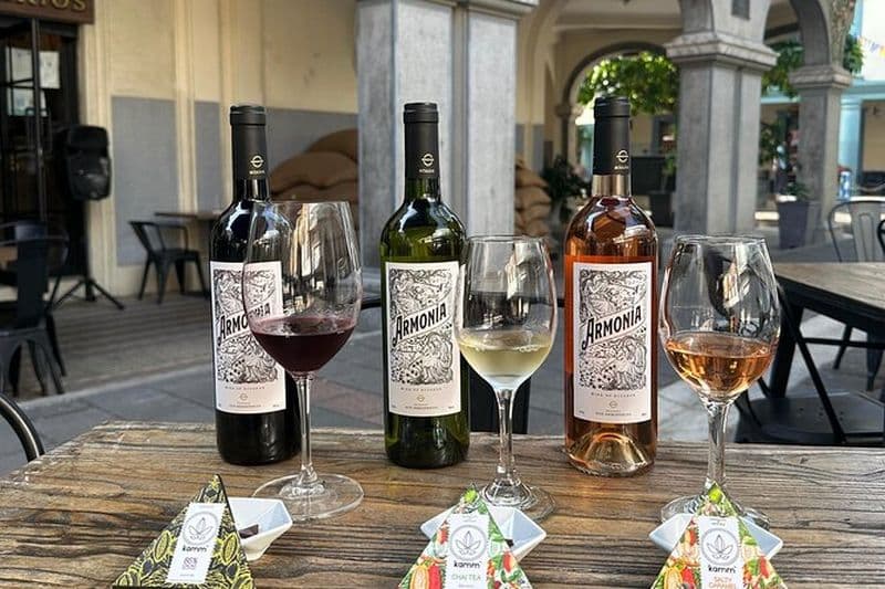 Billet Dégustation de vins d'une heure et expérience de chocolats Pepa de Oro