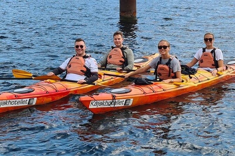 Billet Excursion en kayak dans le port de Copenhague en mai et septembre