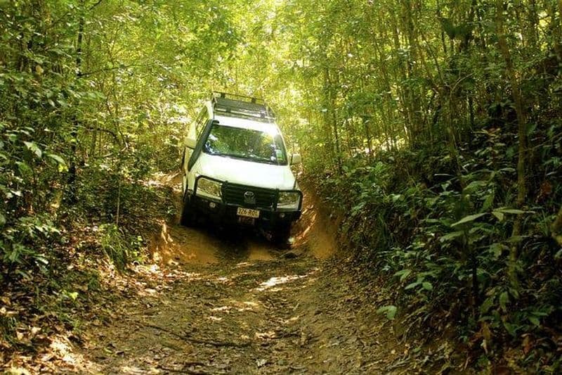 Excursion en 4X4 d'une demi-journée dans la forêt équatoriale et aux cascades des gorges de la Barron et du parc national de Kuranda au départ de Cairns