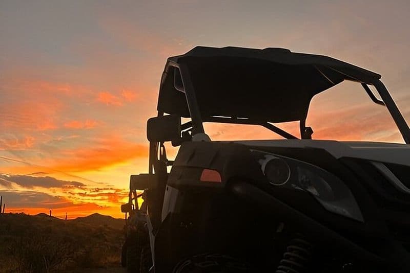 Wine in the Wild: Dégustation de vin inspirée de la nature près de Carthagène