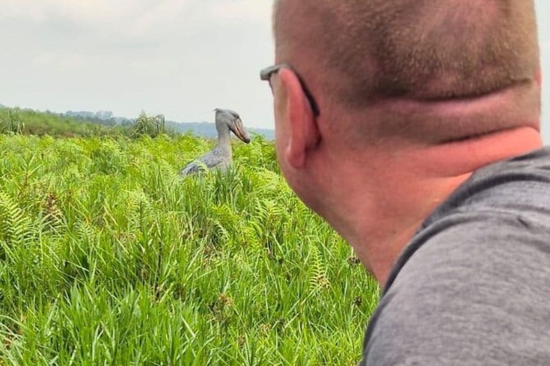Excursion d'une journée pour observer les oiseaux du Bec-en-sabot du marais de Mabamba, lac Victoria