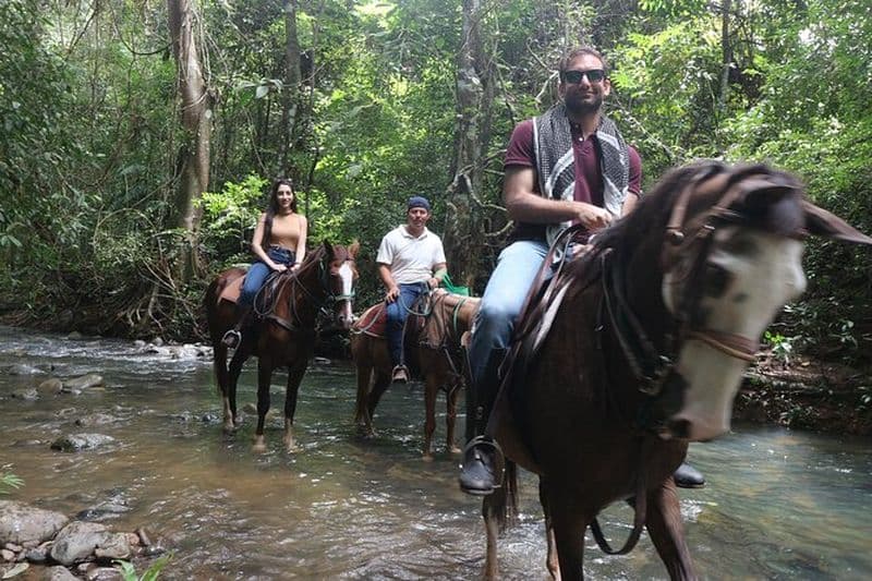 Billet Équitation dans la jungle près de Panama City