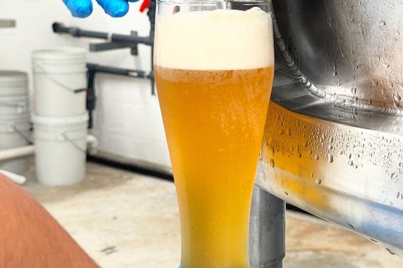 Billet Visite de la brasserie et dégustation de bière | Tour y Degustación de Cerveza