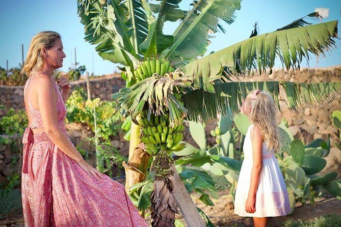 Billet Visite du vignoble avec dégustation de vins et produits locaux