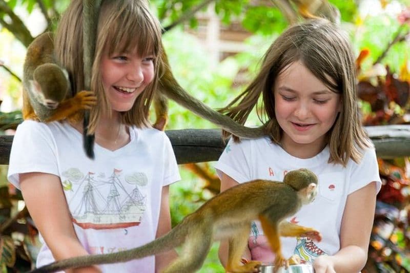 Monkeyland et aventure en tyrolienne au départ de Punta Cana