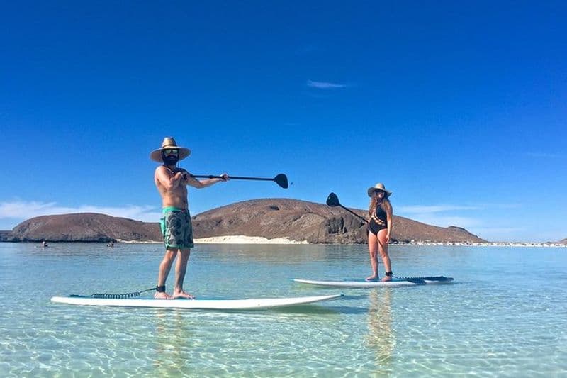 1 jour d'aventure sur les merveilles de l'île d'Espiritu Santo, les lions de mer et le paddleboard