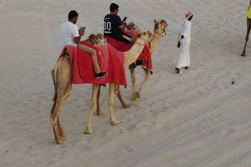 Excursion privée tout compris à cheval, à dos de chameau et en quad à Doha