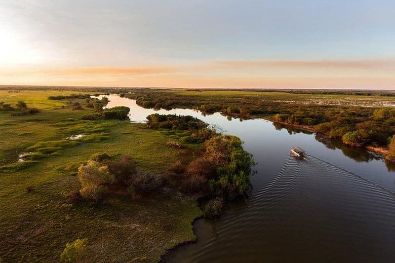 Découverte d'une journée dans les zones humides du Corroboree Billabong, avec une croisière de 2 heures et demie et un déjeuner