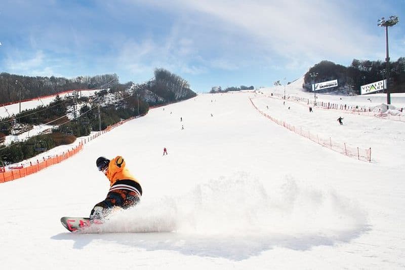 Excursion d'une journée de ski d'hiver au parc Vivaldi avec Eobi Ice Valley au départ de Séoul