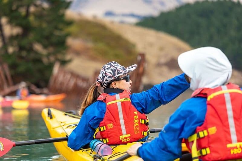 Kayak de mer Lyttelton Harbour au départ de Christchurch (Visite privée)