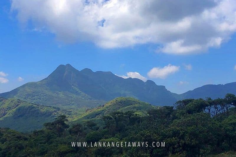 Billet Randonnée dans les montagnes Knuckles