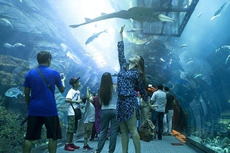 Aquarium et sous-marin avec Penguin Cove Zoo Dubai Mall