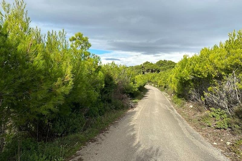 Évasion au coucher du soleil en 4x4 à Zakynthos